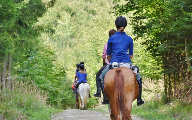 Buitenrit toegestaan, paardrijden, paardrijlessen, manege lessen