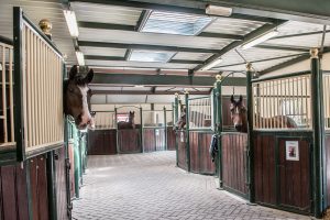 manege paardenbedrijf De Hippische Ondernemer