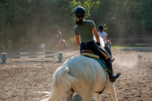 motie hulpmiddelen paardensport