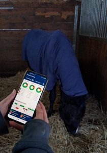 app paardensector